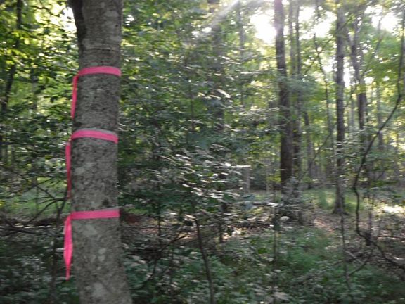 5th image of 6-71AC Cherokee Dr Lot 11