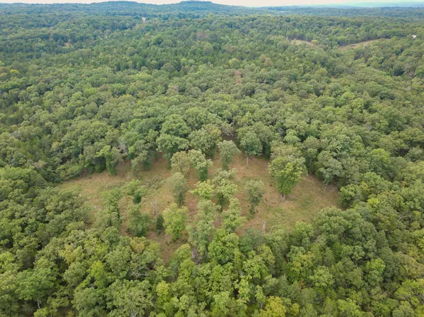 Tbd State Highway Kk, Cedarcreek, MO 65627