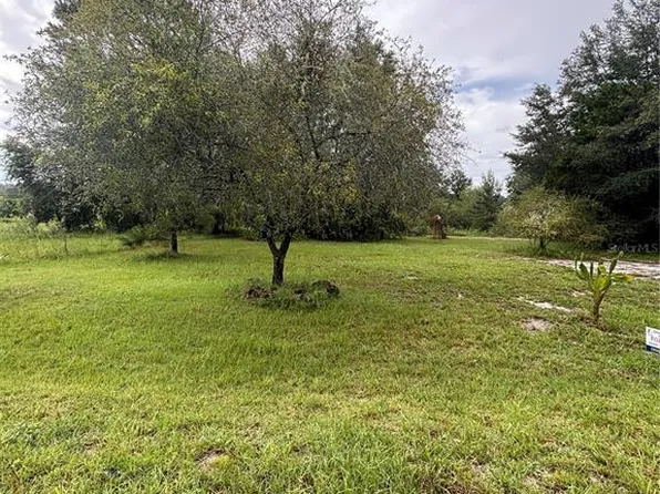 Sequoia Drive Trce Lot 3, Ocklawaha, FL 32179