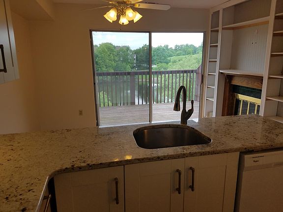 Picture view of pond with fountain