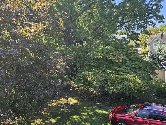 View from Second Floor Deck