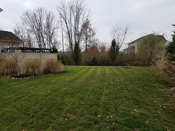 Side Yard View