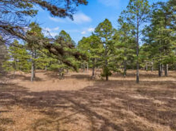 (undisclosed Address), Dover, AR 72837