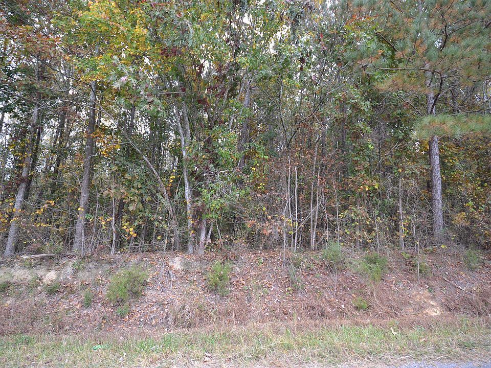 2nd image of County Road 1453