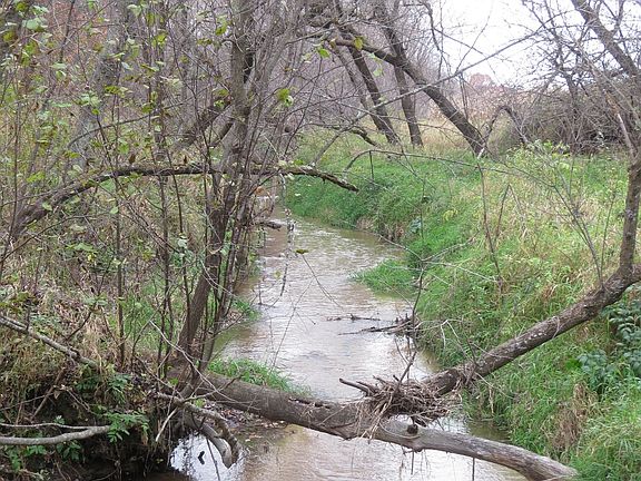 4th image of N3156 State Highway 54