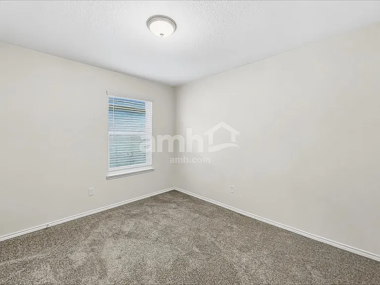 213 Texas Thistle — Photo 12