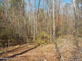 McKinney Rd, Blaine, TN 37709