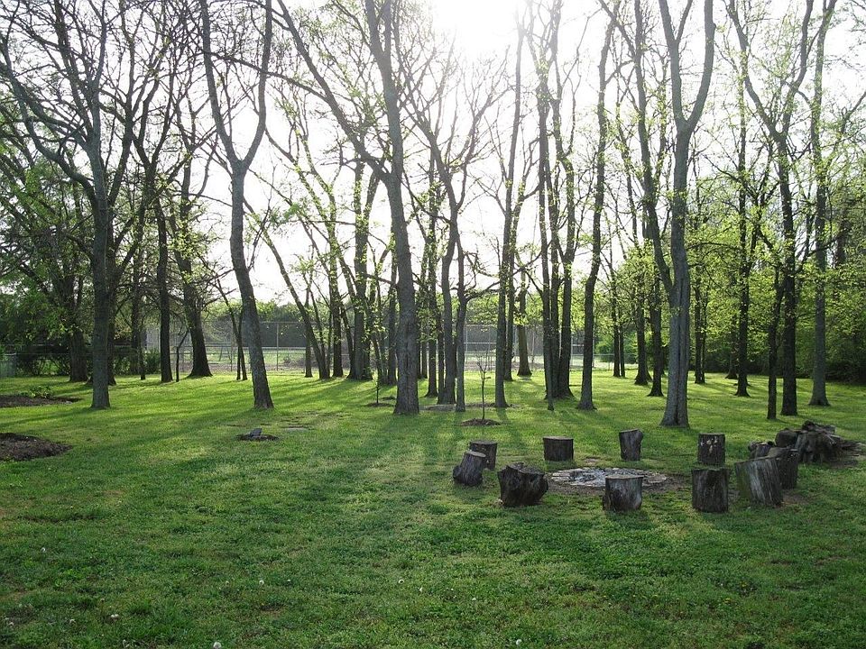 firepit, woods in morning