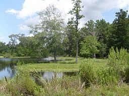 4th image of 11719 Water Oaks