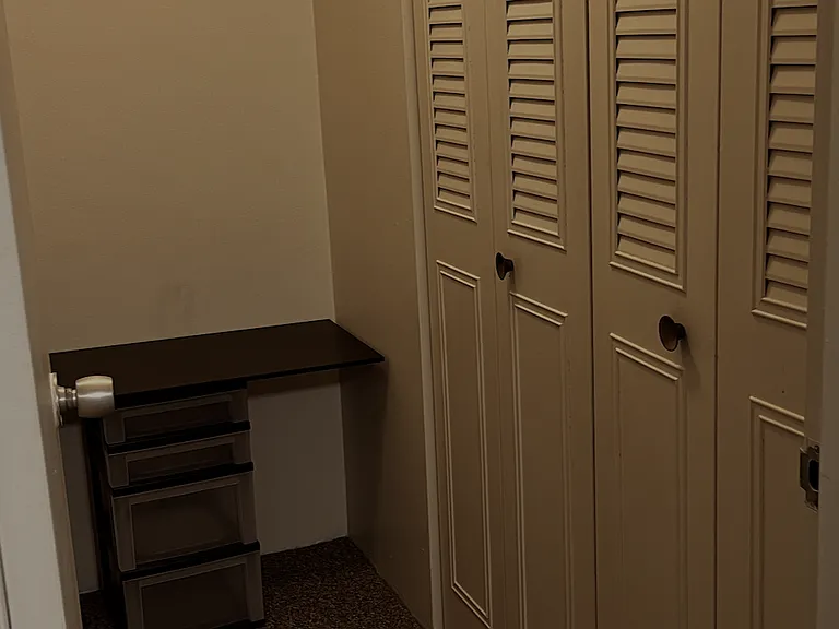 Large closet showing ample space for a chest of drawers