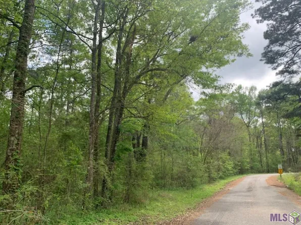 Schwing Dr, Jackson, LA 70748
