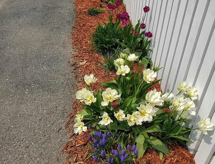 4 Free St #1 — Photo 16