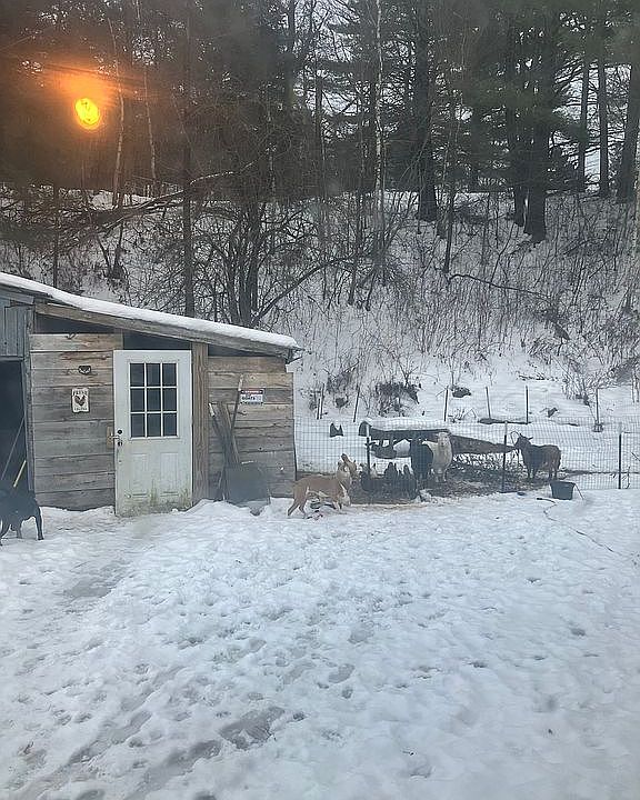 8 Phillips Dr, Colebrook, NH 03576 Zillow