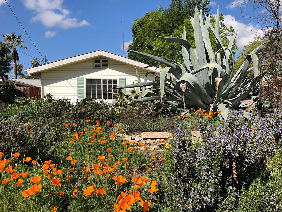 Gardener and water included