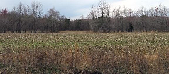 4th image of 000 Morgan Dr