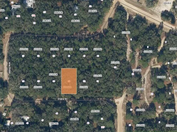 Diana St Lot 34, Interlachen, FL 32148
