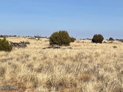 5518 Glasglow Dr, Snowflake, AZ, 85937