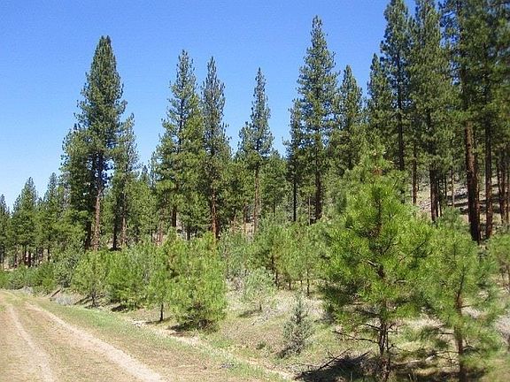 2nd image of Nsa Anderson Ranch Rd