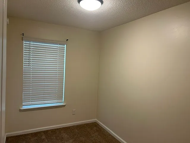 806 Oak St #10 — Photo 6