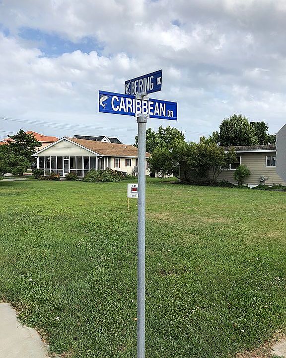 Corner of Bering & Caribbean