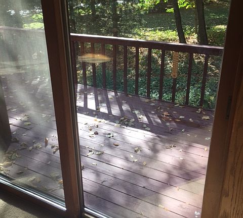5th image of 3151 Cadys Arbor