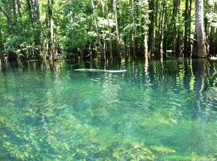 1388 SW Riverside Ave, Fort White, FL 32038