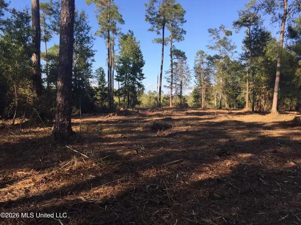 Crump Rd Lot 3-4, Kiln, MS 39556