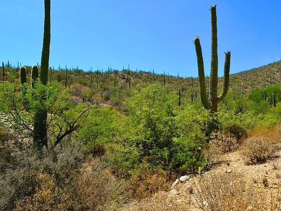 3rd image of 5555 N Sabino Highlands Pl