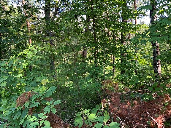 3rd image of 1335 Birch Ln #1335