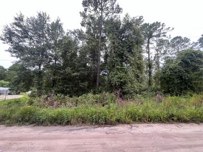 0 Hickory Nut Trail Trail, Satsuma, FL, 32189