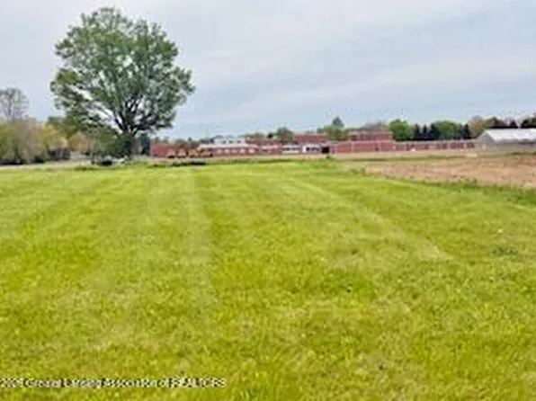 2817 Black Oak St, Webberville, MI 48892
