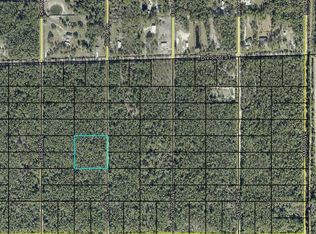 0 DILLON Avenue, Hastings, FL 32145