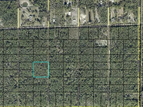 0 DILLON Avenue, Hastings, FL 32145