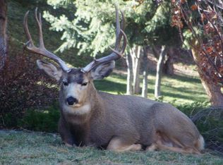 8091 Lt William Clark Rd, Parker, CO 80134