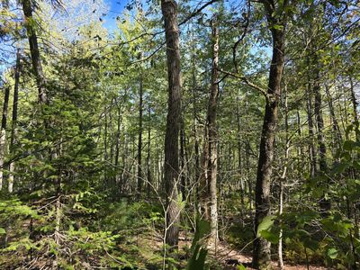 00 Back Searsport Road, Belfast, ME, 04915