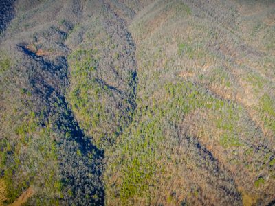 Ray Kegley Rd, Erwin, TN, 37650