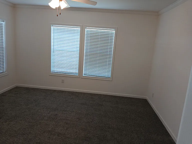 637 Pine Brook Cir — Photo 5