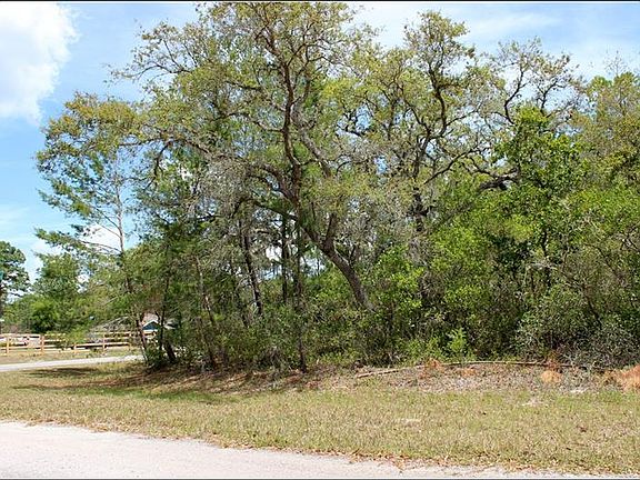 4th image of E Cashew Ct