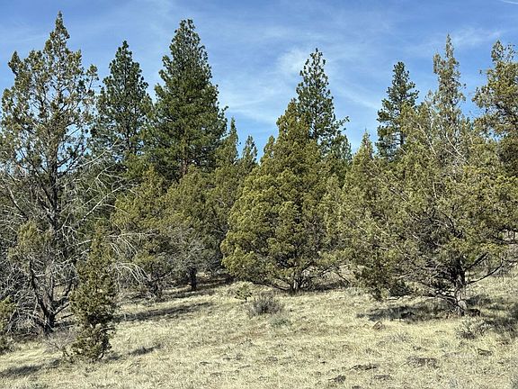 3rd image of Highway 140