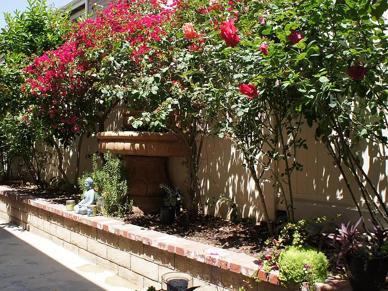 409 Warner St — Photo 5