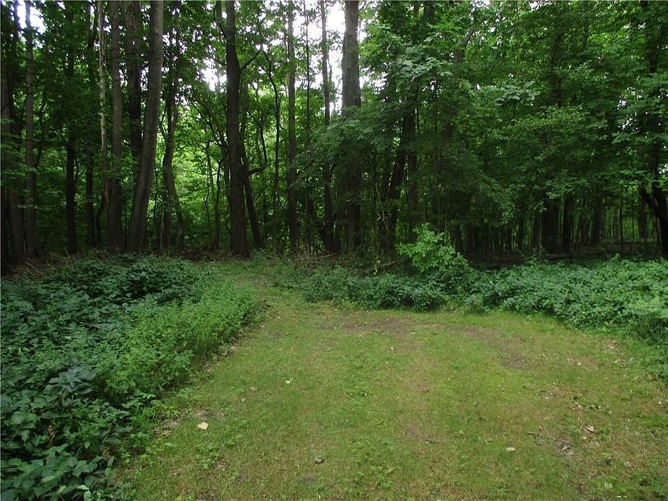 1st image of 10 Woodland Hl #10