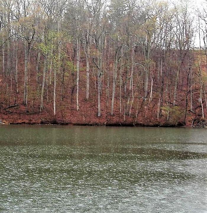 1st image of Forest Lawn Dr Lot 75