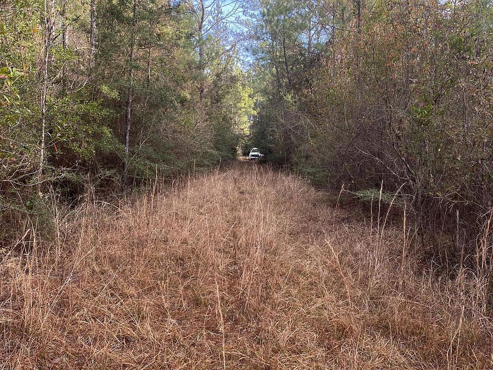 2nd image of Blue Lake Rd