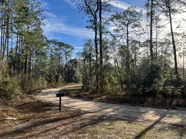 311 NE Timber River Loop, Lee, FL 32059