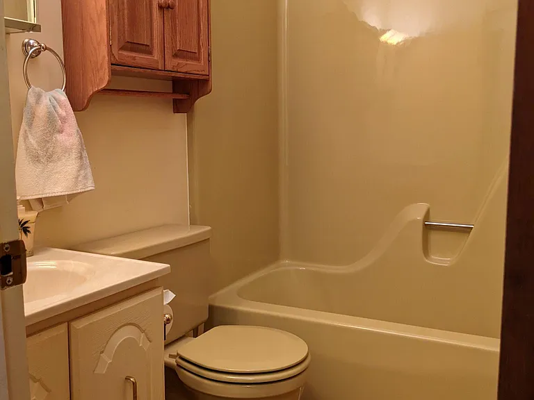 Main bathroom