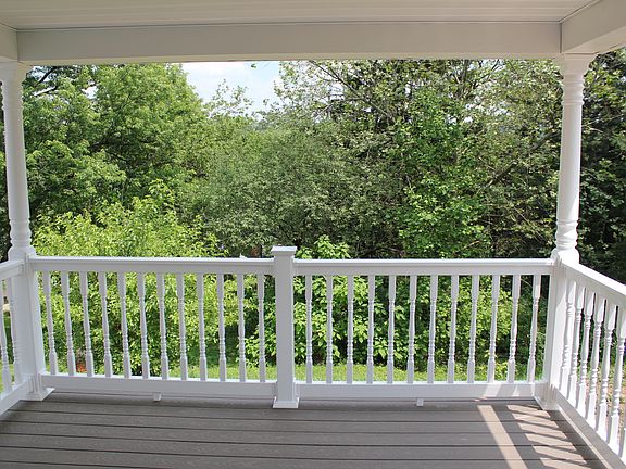 View of trees behind