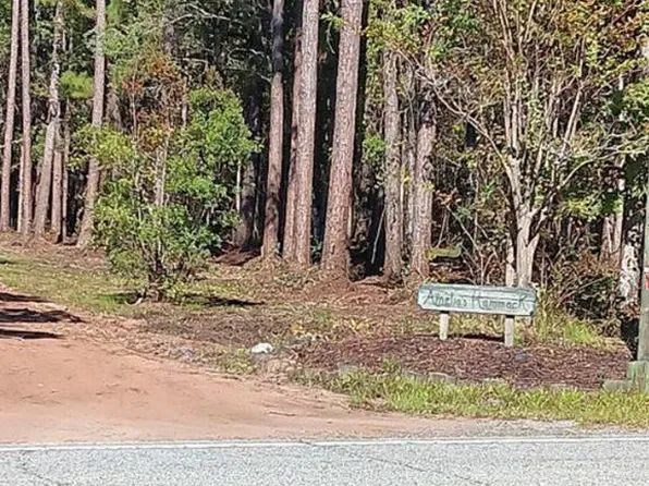 1000 Kens Way NE, Townsend, GA 31331