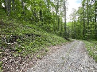 0 Bear Track Run, Bryson City, NC 28713