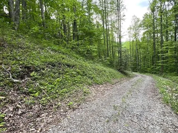 0 Bear Track Run, Bryson City, NC 28713