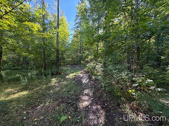 3rd image of Vl 40 Skanee Rd
